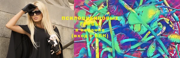 ПСИЛОЦИБИНОВЫЕ ГРИБЫ Медвежьегорск